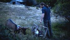 Paco (Mathieu Kassovitz) - "I know how to milk a goat!"